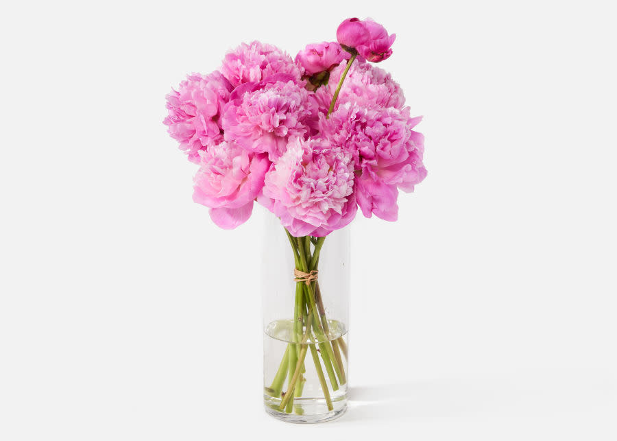 <p><a href="https://go.redirectingat.com?id=74968X1596630&url=https%3A%2F%2Furbanstems.com%2Fproducts%2Fflowers%2Fthe-peony%2FFLRL-B-00117.html&sref=https%3A%2F%2Fwww.thepioneerwoman.com%2Fhome-lifestyle%2Fg39516266%2Fcollege-graduation-gift-ideas%2F" rel="nofollow noopener" target="_blank" data-ylk="slk:Shop Now;elm:context_link;itc:0;sec:content-canvas" class="link rapid-noclick-resp">Shop Now</a></p><p>The Peony</p><p>urbanstems.com</p><p>$92.00</p><span class="copyright">Urbanstems</span>