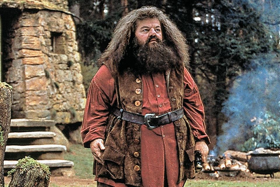 Robbie Coltrane as Hagrid in Harry Potter