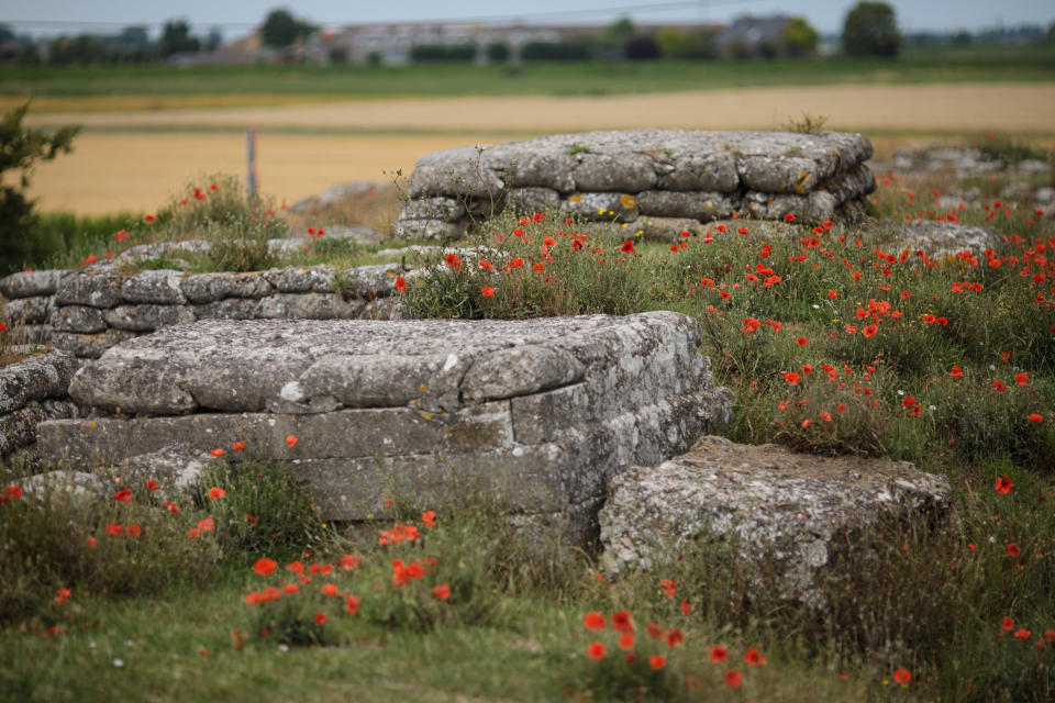 DIKSMUIDE, BELGIUM - JULY 14: Wild poppies grow in the 'Trench of Death', a preserved Belgian World War One trench system on July 14, 2017 in Diksmuide, Belgium. July 31, 2017 marks the centenary of one of the bloodiest battles of World War One, The Battle of Passchendaele, also known as The Third Battle of Ypres in which almost 325,000 Allied troops and 260,000 Germans were killed. The poppy has become an internationally recognised symbol of remembrance after it grew in the war-ravaged and muddied landscape of Belgian Flanders. The sight of the poppy growing by the graves of soldiers inspired Canadian soldier John McCrae to write one of the most famous World War One poems, 'In Flanders Fields'.  (Photo by Jack Taylor/Getty Images)