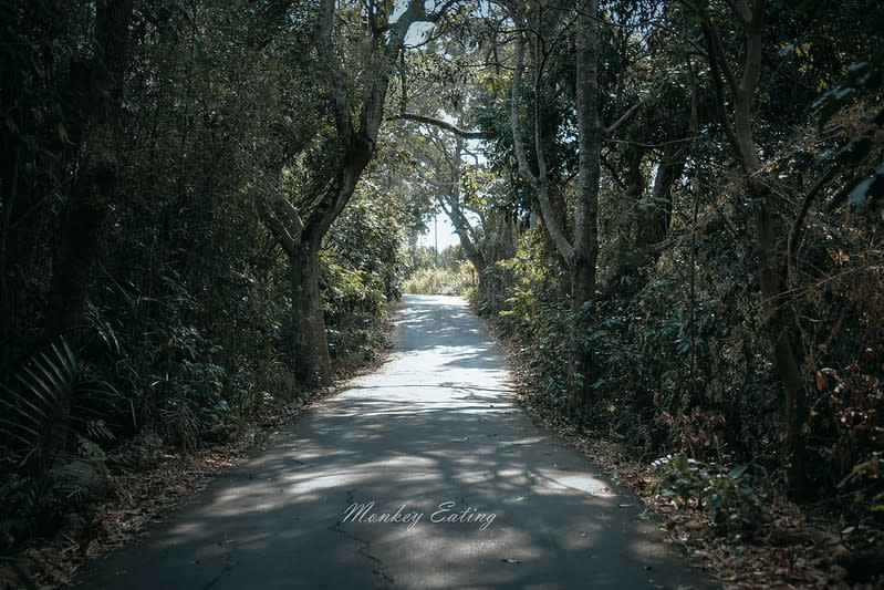 台中豐原｜三崁頂健康步道