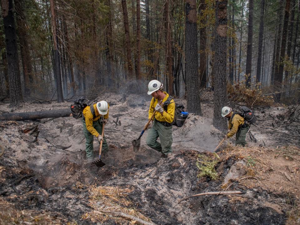 Three firefighters use shovels and hoes to contain a fire. Burned trees can be seen in the background.