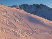 Snow art crop circles by Simon Beck<br>View more of Beck's art on his Facebook page, <a href="https://www.facebook.com/snowart8848" rel="nofollow noopener" target="_blank" data-ylk="slk:Simon Beck's Snow Art;elm:context_link;itc:0;sec:content-canvas" class="link ">Simon Beck's Snow Art</a>