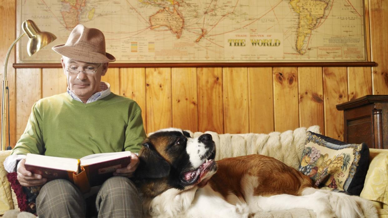 A senior man reads a book next to a Saint Bernard on the couch