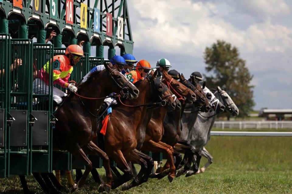 A record $37 million in purses is on offer at the seven-day race meeting at Kentucky Downs that begins Thursday.