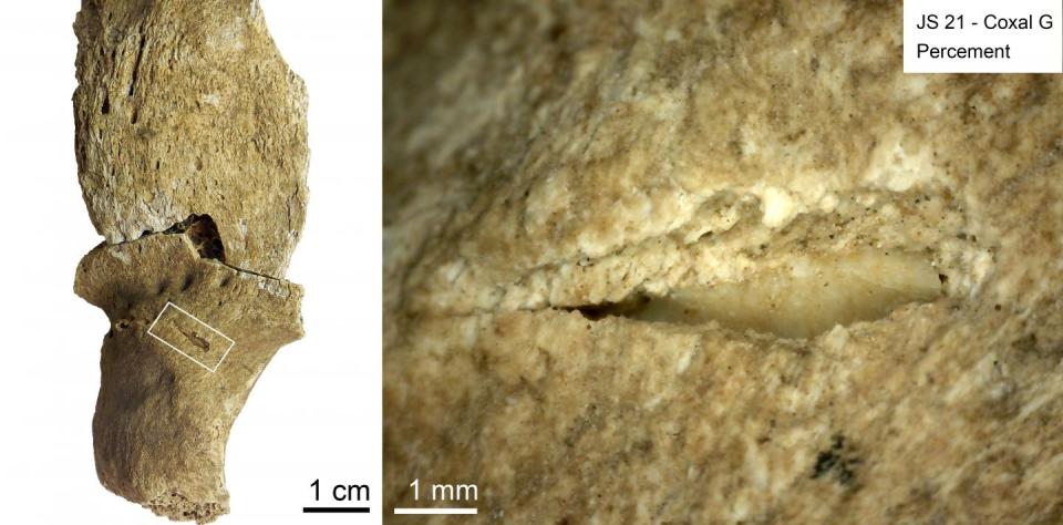 A team of French researchers has reanalyzed fossils from a 13,000-year-old combat "cemetery" and they say it was the result of sustained warfare over lifetime periods.