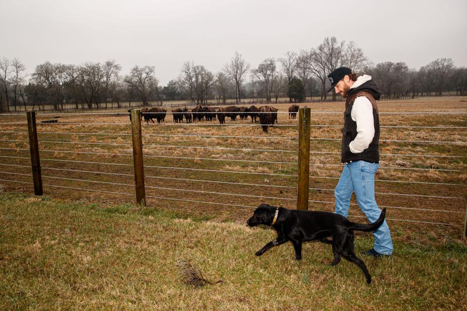 Chase Rice and his dog Jack, walk by a heard of bison that are kept on his property in Franklin, Tenn. on Feb. 1, 2023.