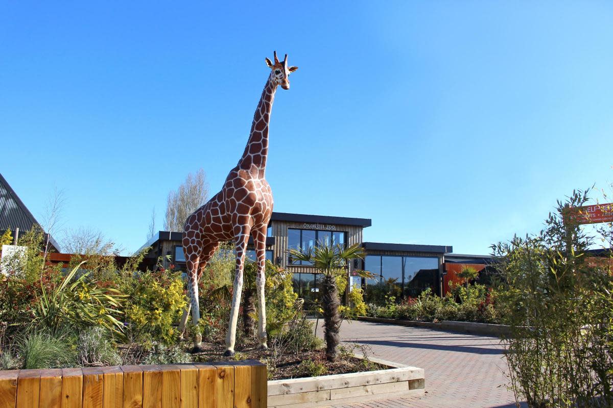 The zoo is currently advertising for two jobs after three previous vacancies were filled <i>(Image: Colchester Zoo)</i>