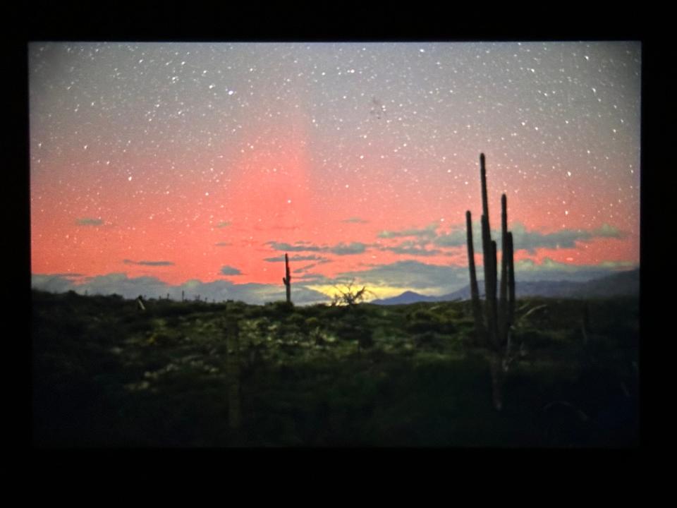 cactus shrub desert landscape with red and yellow aurora glowing on horizon