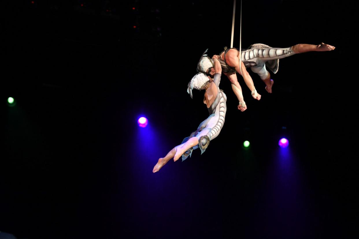 Cirque du Soleil will return to the DCU Center in January for six performances of its show "OVO."