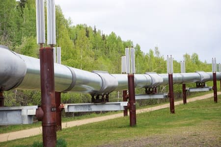 The Trans Alaska Pipeline is pictured near the midpoint of the 800-mile line, near Fairbanks