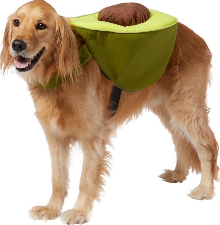 Get this <a href="https://fave.co/3lUhqfK" target="_blank" rel="noopener noreferrer">Frisco Avocado Dog &amp; Cat Costume for $15</a> at Chewy. It's available in size extra-extra-large and has a hook and loop strap. 