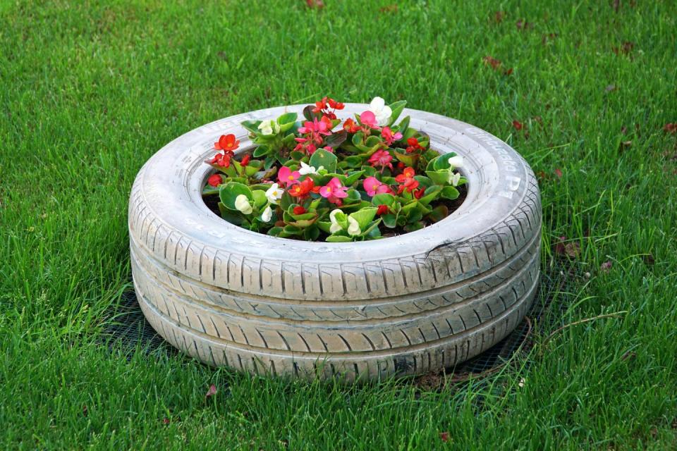 <p>Prevent your worn car tires from ending up in the landfill, and instead turn them into a unique garden bed. While you can sometimes use a tire to grow herbs or vegetables, it's probably best to stick with inedible flowers. </p>