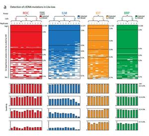 (upper), Ordered heat maps show the detection of known variants (rows) in ctDNA assay replicates (columns). All on-target variants for a given assay are shown. Variants are sorted by expected VAF in descending order, and replicates are arranged hierarchically by assay type, test lab and replicate number. Heat maps show results for Lbx-low at 25 ng input. (lower), Aligned below each heat map column, bar charts indicate the sensitivity of variant detection in each replicate. Sensitivity is reported separately for known variants in the following VAF ranges: 2.5–0.5%, 0.5–0.3%, 0.3–0.2% and 0.2–0.1%, with measurements taken from both Lbx-high (high and mid VAF) and Lbx-low (low VAF).