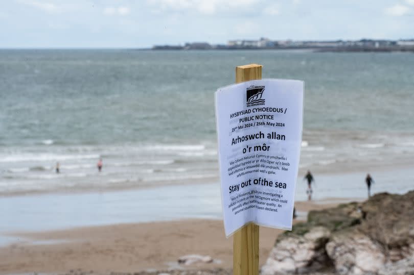 There are signs on the beach telling people to 'stay out of the sea' -Credit:Mark Lewis