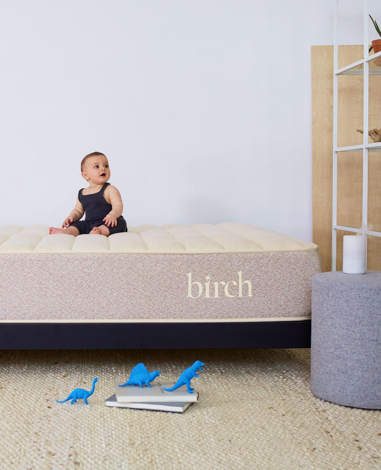 Birch Natural Hybrid Mattress (Birch / Birch)