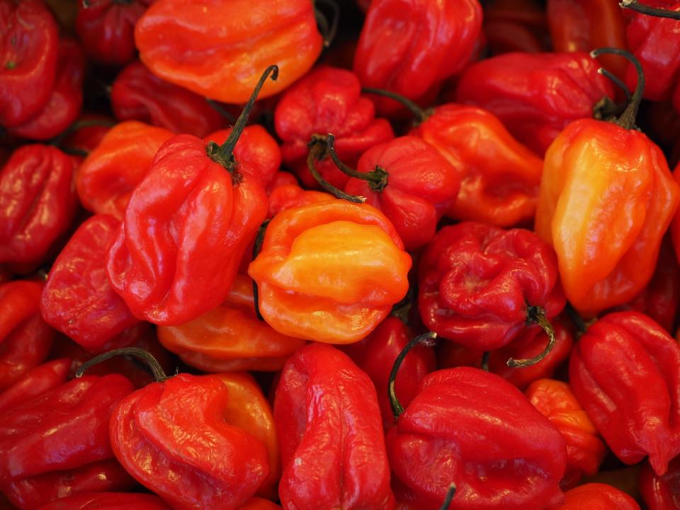 Scotch bonnets