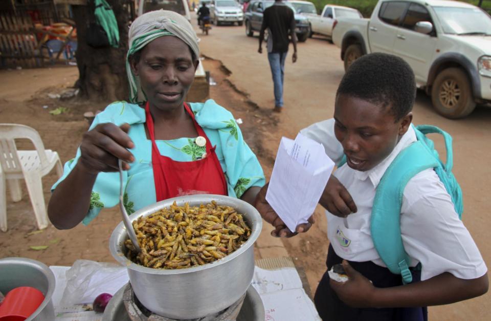 La vendedora Sylvia Namwanje prepara saltamontes fritos, el 25 de noviembre de 2016, en Kamwokya, un distrito de la capital de Uganda. Los “nsenene”, como los ugandeses llaman a estos verdes insectos saltarines, son una delicia buscada por muchos en este país en esta época del año, cuando millones de insectos nacen con la temporada de lluvias. (AP Foto/Stephen Wandera)