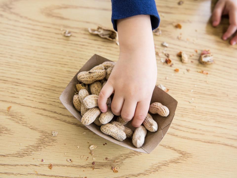 Peanut exposure therapy may lead to three times as many allergic reactions, study says