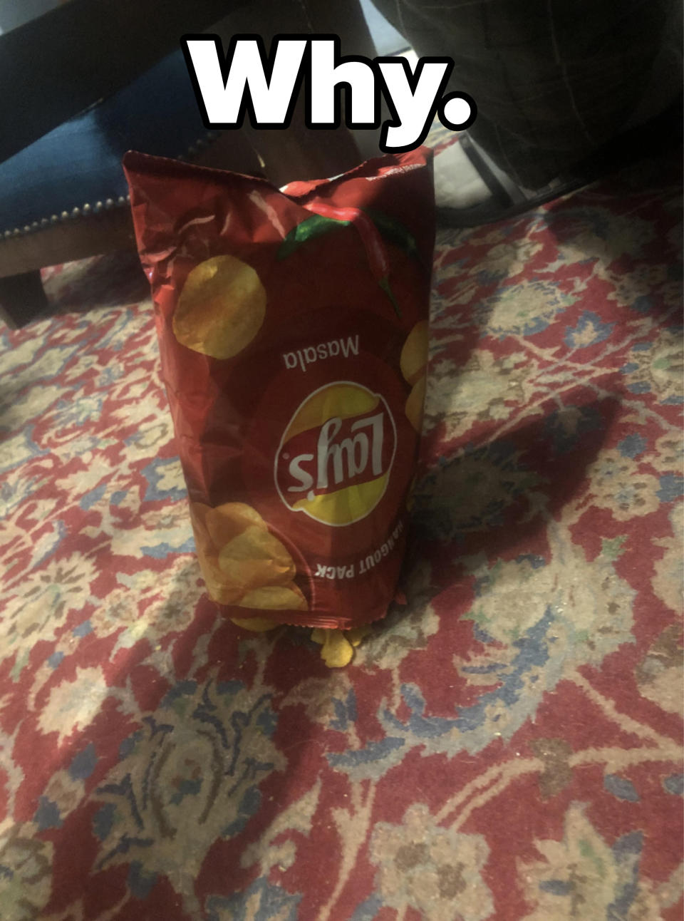 An upside-down open bag of chips on a patterned carpet with a few chips visible at the bottom and caption, "Why"