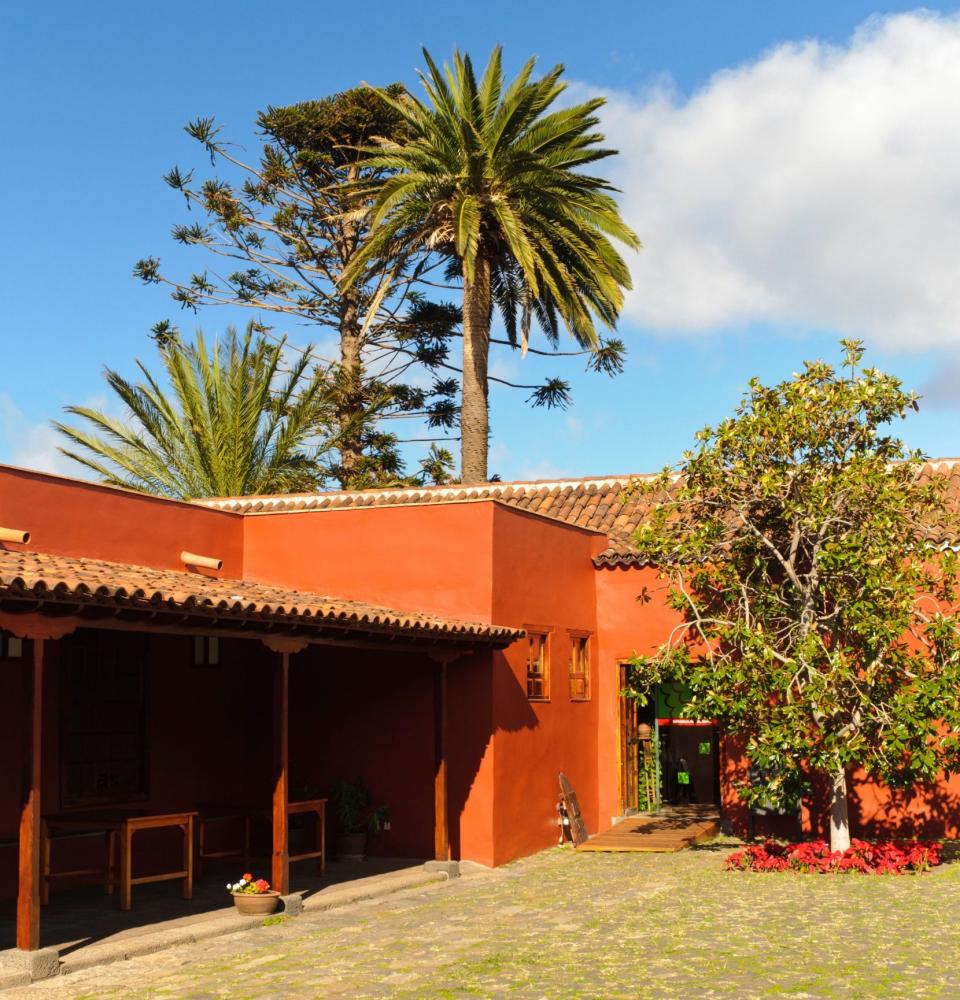 Casa del Vino museum is the place to head for an education of Tenerife's wines