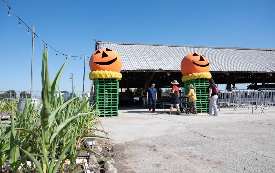 Dutch Hollow Farms in Modesto, Calif., Thursday, Oct. 5, 2023.