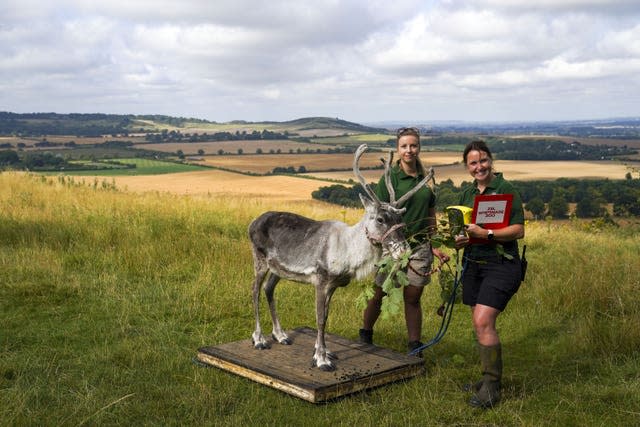 Heidi the reindeer with keepers Christina Finch and Danielle Hearne 