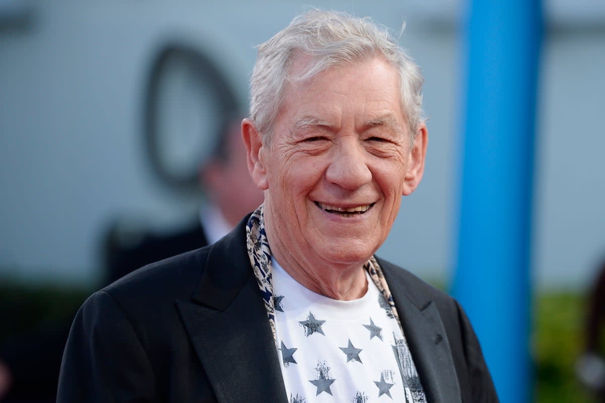 Sir Ian McKellen in 2015 (Getty Images)