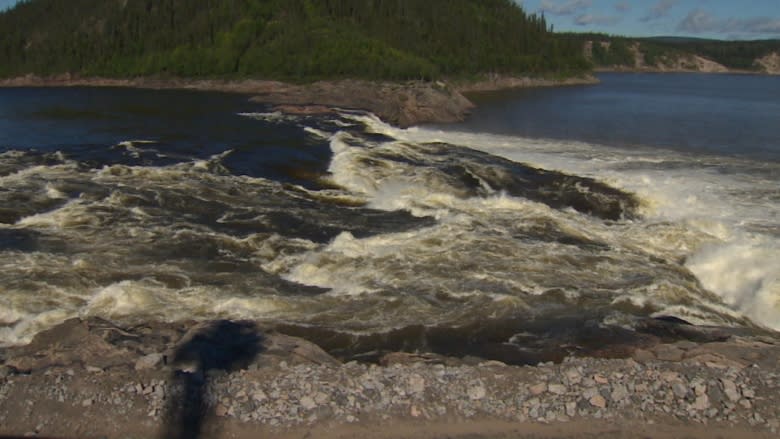 Abandoning Muskrat Falls 'dome' is Astaldi's decision, Nalcor VP says