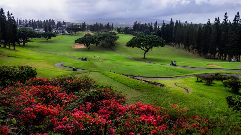 Nicht nur ideal für den Sport: Golfplätze bieten auch wunderschöne landschaftliche Kulissen. - Copyright: Shobeir Ansari/Getty Images