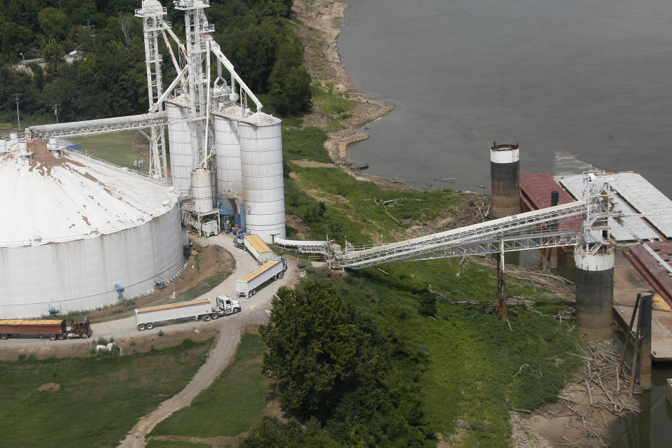 Trucks and their loads accumulate alongside a grain processing operation on the Arkansas banks north of Greenville, Miss., on the Mississippi River Tuesday, Aug. 21, 2012. Officials with the U.S. Army Corps of Engineers say low water levels that are restricting shipping traffic, forcing harbor closures and causing towboats and barges to run aground on the Mississippi River are expected to continue into October. (AP Photo/Rogelio V. Solis)