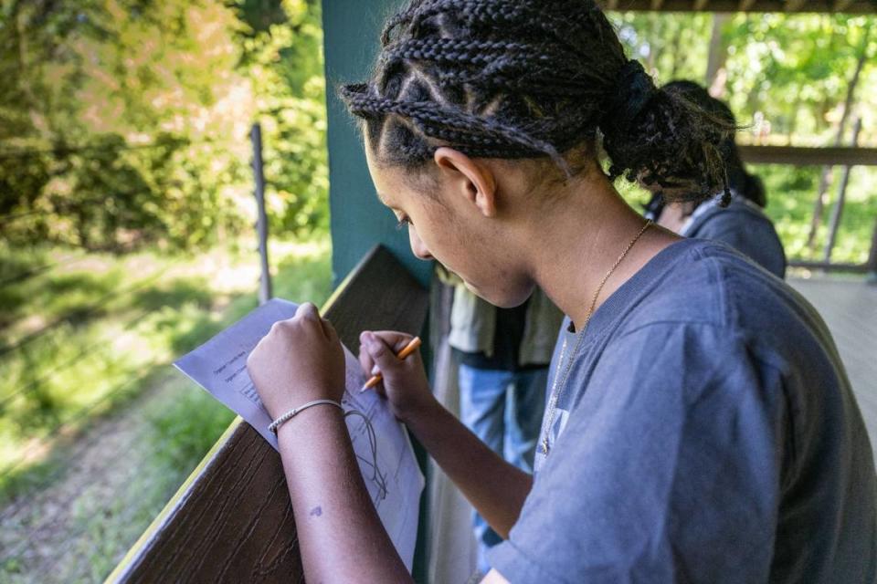 Hanna Ghebregziabher, 12, from the School of Engineering and Sciences in the Pocket, draws an okapi during a field trip to the Sacramento Zoo on Wednesday.