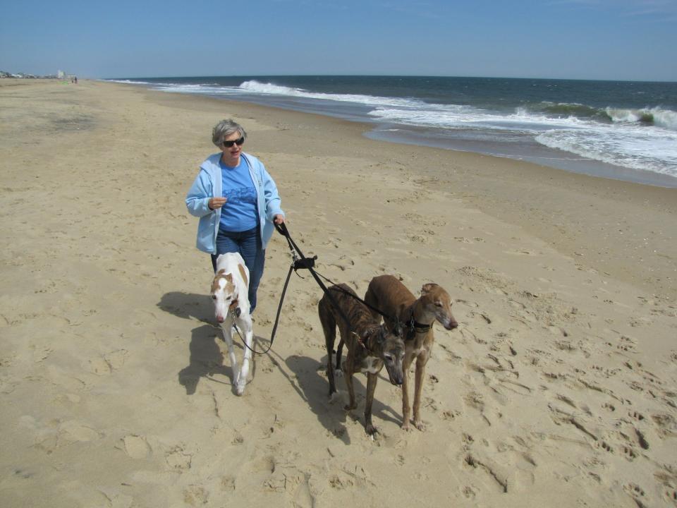 Judy Chopp of Fairfax, Virginia, takes her three greyhounds, Pella, Monty and Toby, out for a stroll on Dewey Beach on Saturday, April 11.