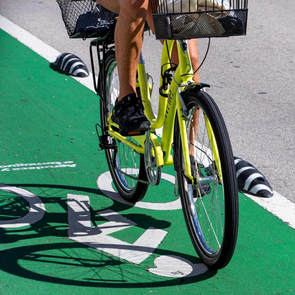 Los nuevos separadores instalados a lo largo de los carriles para bicicletas en  el Viaducto Venetian están pensados para proteger a los ciclistas del tráfico motorizado, pero algunos ciclistas se lesionaron después de chocar contra ellos. Los críticos afirman que los llamados armadillos son peligrosos, porque dificultan la capacidad de adelantar de forma segura a los usuarios más lentos o evitar escombros y otros obstáculos en las estrechas ciclovías. Daniel A. Varela DVARELA@MIAMIHERALD.COM 