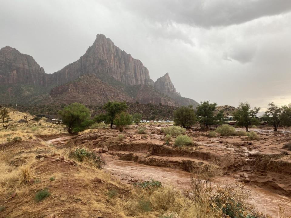 A flash flood hits Zion National Park on Tuesday, June 30, 2021.