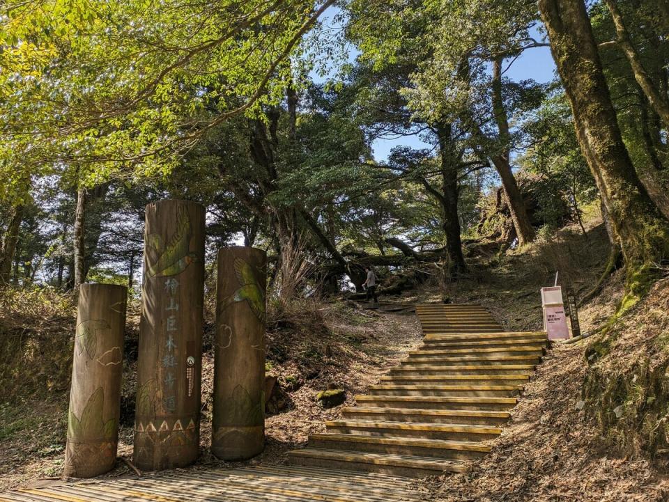 觀霧檜山巨木群步道橋梁補強整修工程，步道0K至2.7K處路段，暫時封閉。   圖：取自觀霧國家森林遊樂區臉書（資料照）