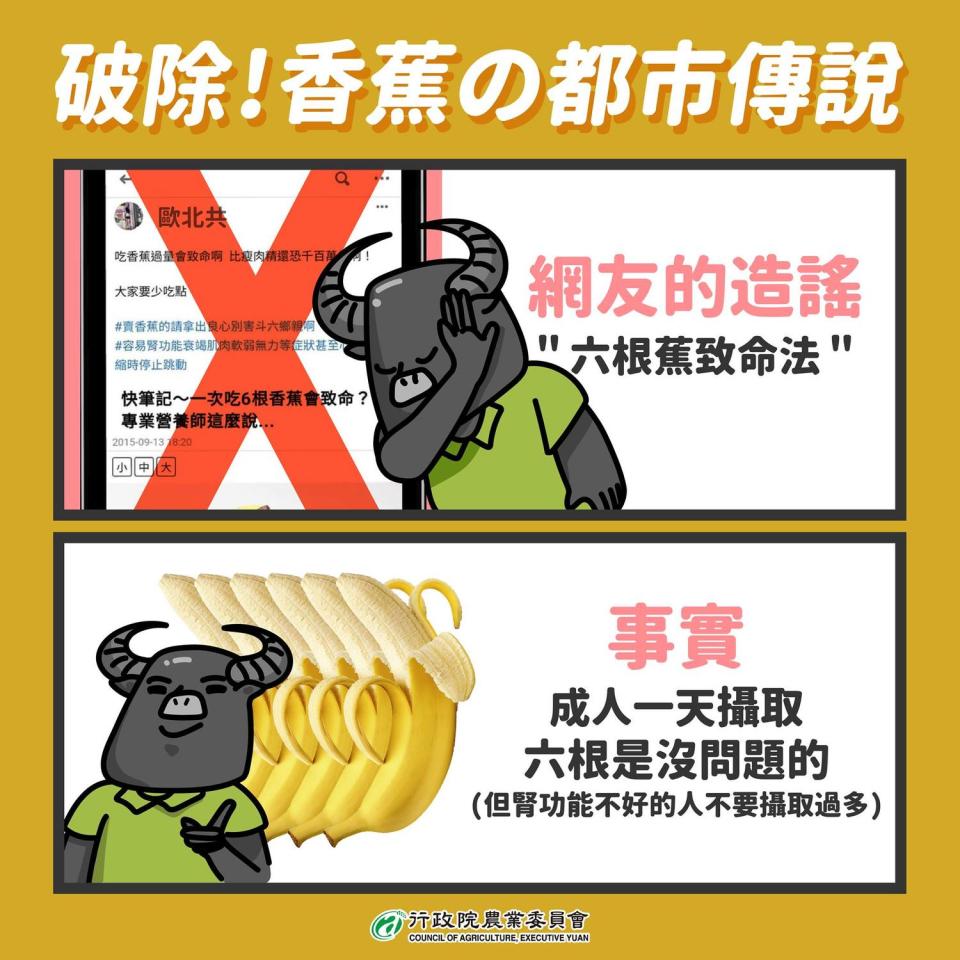 農委會今（1）日表示，成人一天吃6根香蕉是沒問題的，除非是腎功能較差的民眾，不能攝取過多的鉀，才要避免吃過量的香蕉。   圖：取自農委會臉書