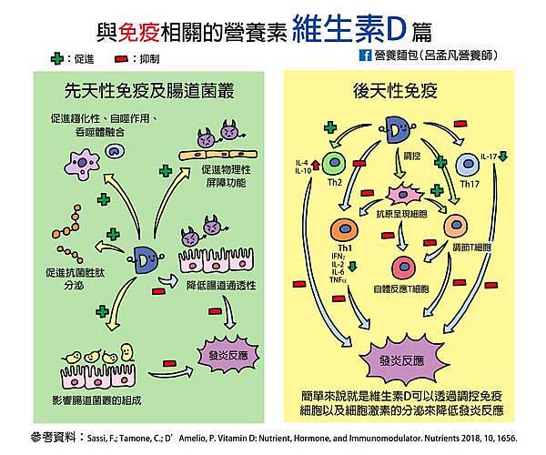 維生素Ｄ效果