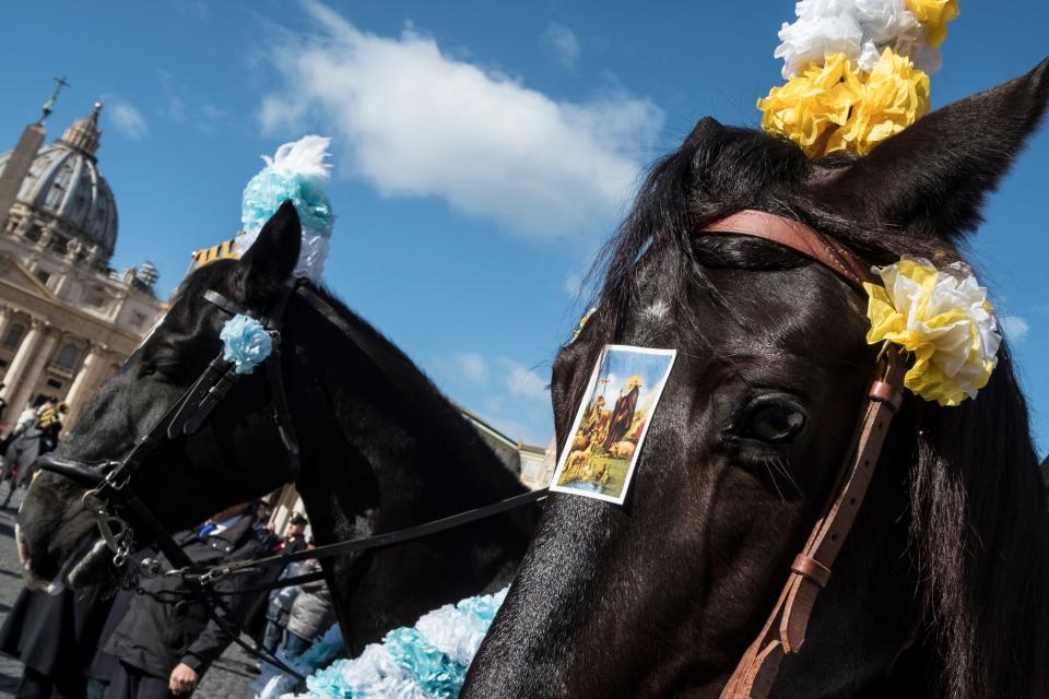 Blessing of the animals on St. Anthony’s Day