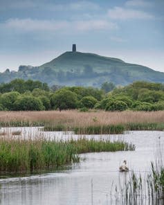 Hill in background, swampy river in foreground with bird