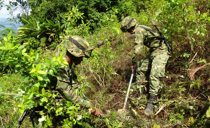 Foto de archivo. Soldados del Ejército Nacional erradican cultivos de hoja de coca en zona rural de Tarazá, en el departamento de Antioquia