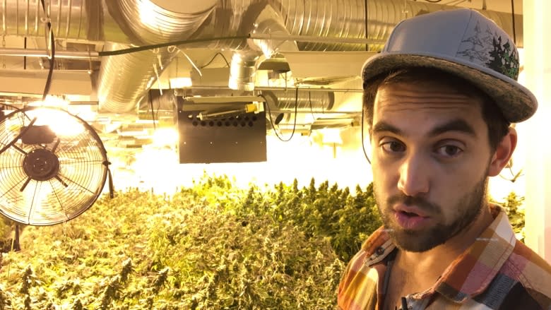 Organic pot grower living the dream in Whistler