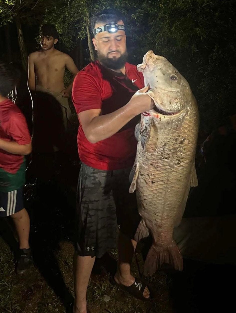 Derhat Mohammed was fishing at Percy Priest Lake when he caught what biologists believe to be either a smallmouth buffalo or black buffalo fish weighing in atover 76 pounds.