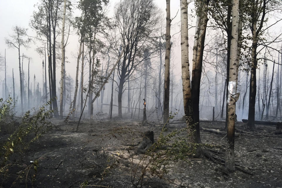 In this photo taken Sunday, Aug. 18, 2019, provided by the Alaska Division of Forestry, are burned trees after the McKinley Fire burned through the area near Willow, Alaska. The main highway in Alaska that connects Anchorage and Fairbanks has reopened on a limited basis. A wildfire north of Willow jumped the Parks Highway on Sunday night, prompting a closure for a 9-mile stretch. The state Division of Forestry says one lane of traffic reopened at 8 a.m. Monday. (Maureen Clark/Alaska Division of Forestry via AP)