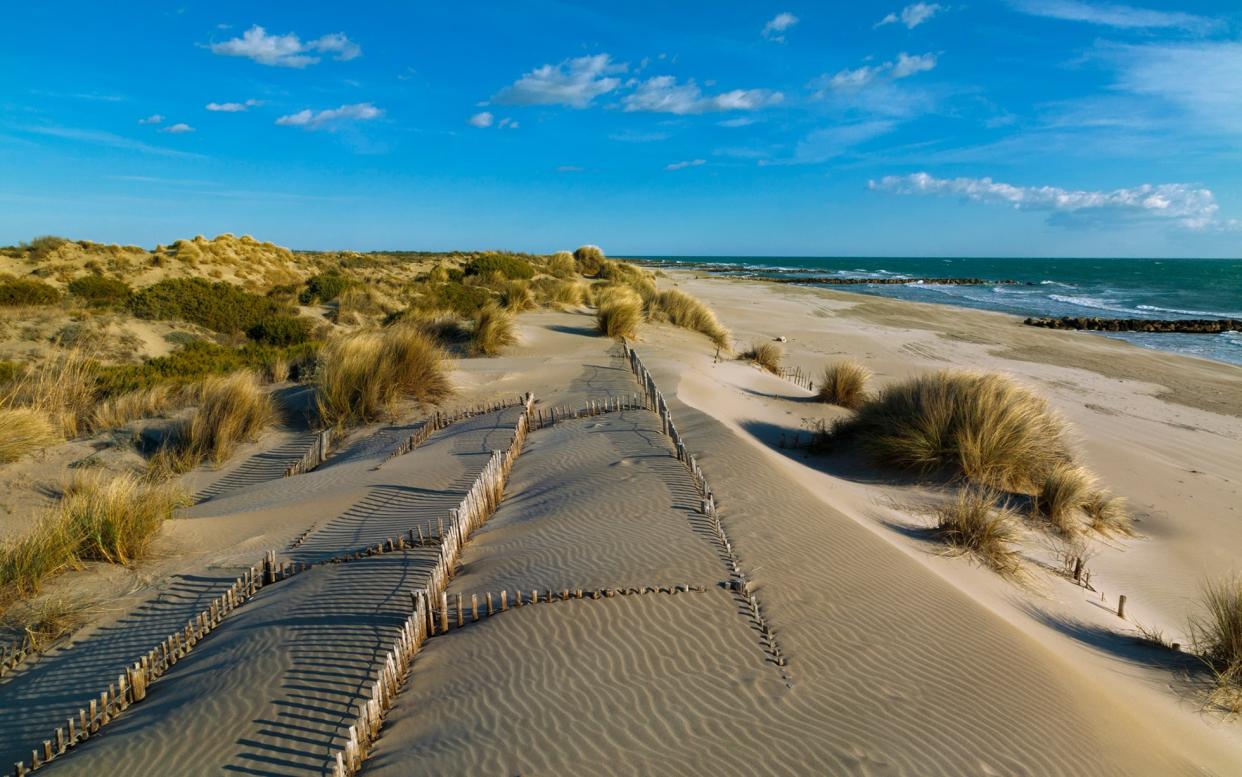 Dunes by Le Grau du Roi - getty