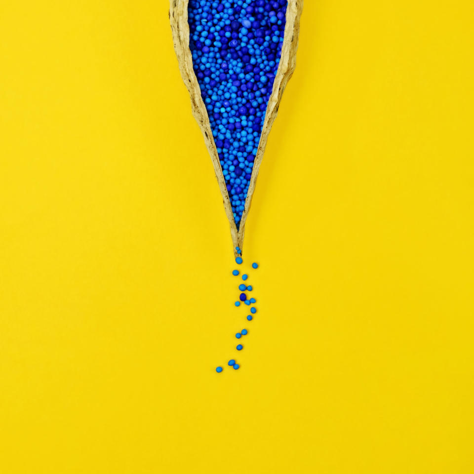 A milk pod with seeds dripping out