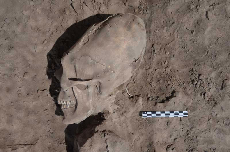 An archaeological dig in the village of Onavas in Mexico unearthed alien-like skulls. The excavated burial site contained 25 individuals, 13 with elongated skulls reminiscent of the monster from Ridley Scott's Alien. South American cultures such as the Maya and Inca practiced cranial deformation by binding the heads of babies. The remains are 1,000 years old (Image: INAH)