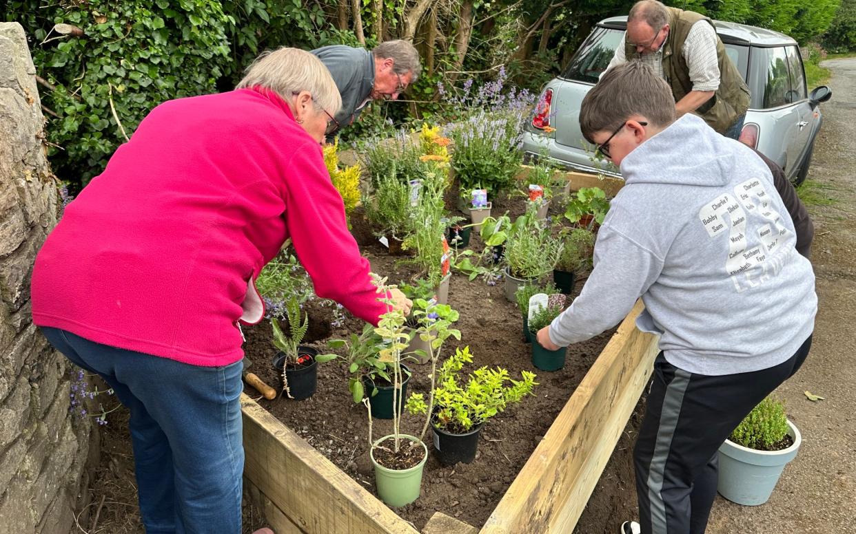 Residents plant flowers