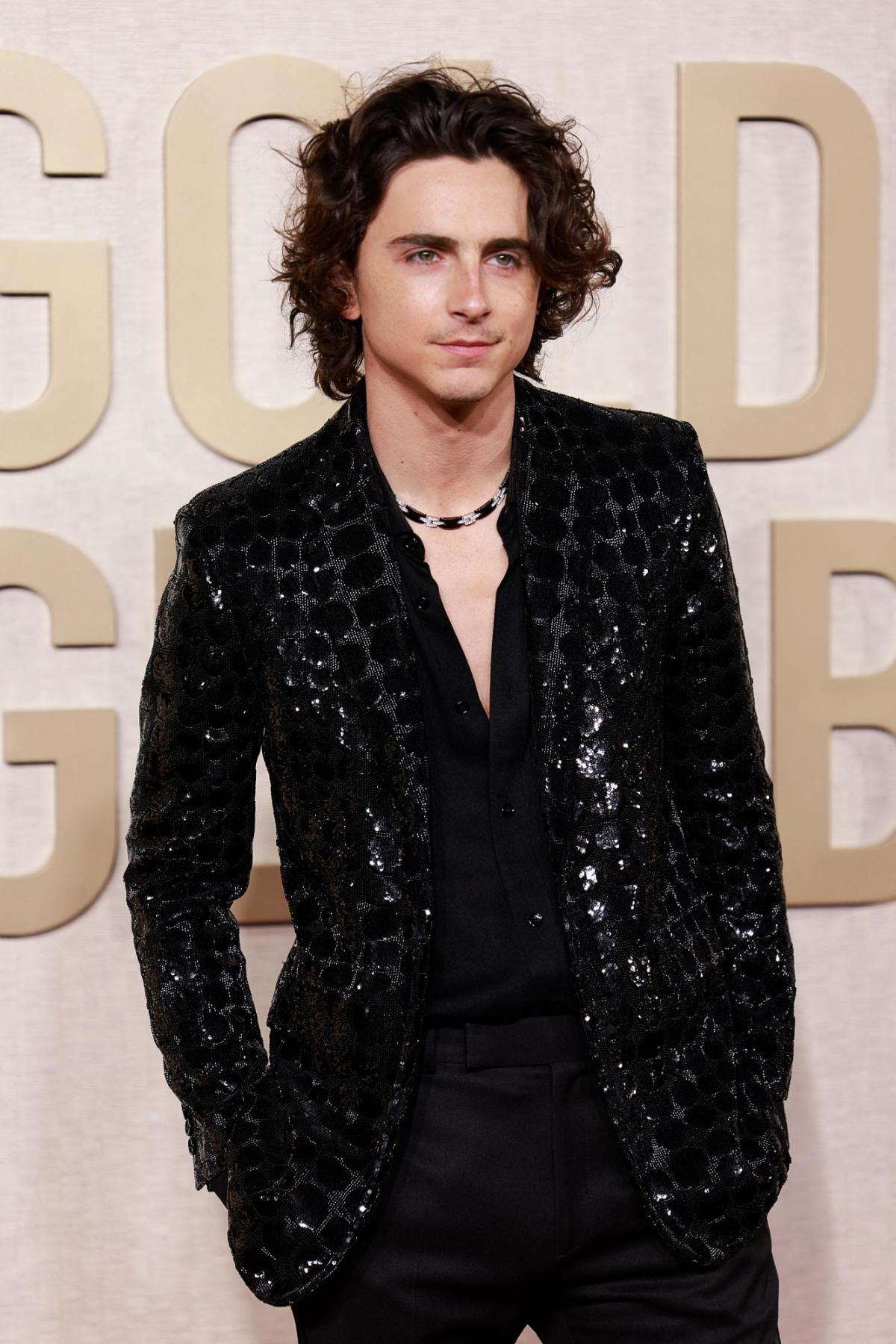 Timothee Chalamet Sparkles in Sequin Jacket on the 2024 Golden Globes