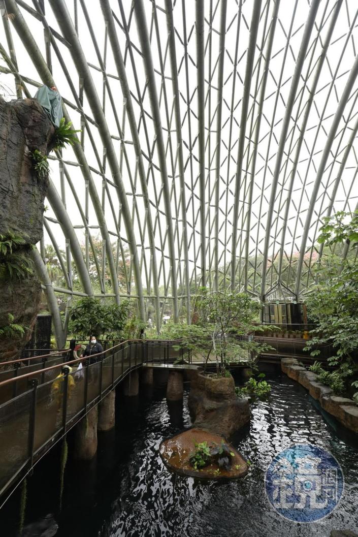 穿山甲館以鐵網隔離野鳥，而流水池飼養魚類。