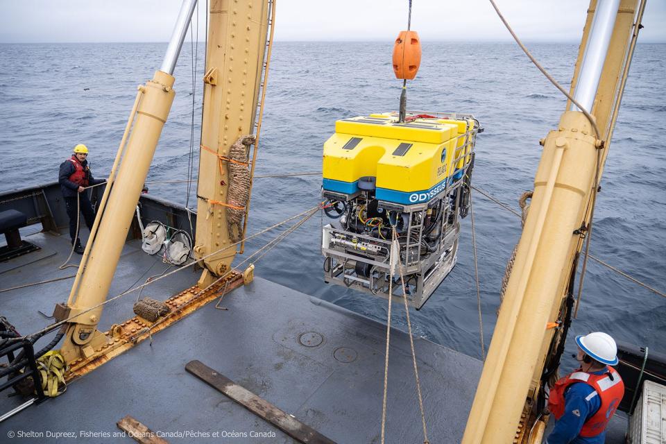 Pelagic Research Services of South Wellfleet sent its Odysseus 6 system to help with efforts to find the missing Titan submersible that disappeared Sunday during an expedition to view the wreck of the Titanic, about 2.4 miles below the surface of the North Atlantic.